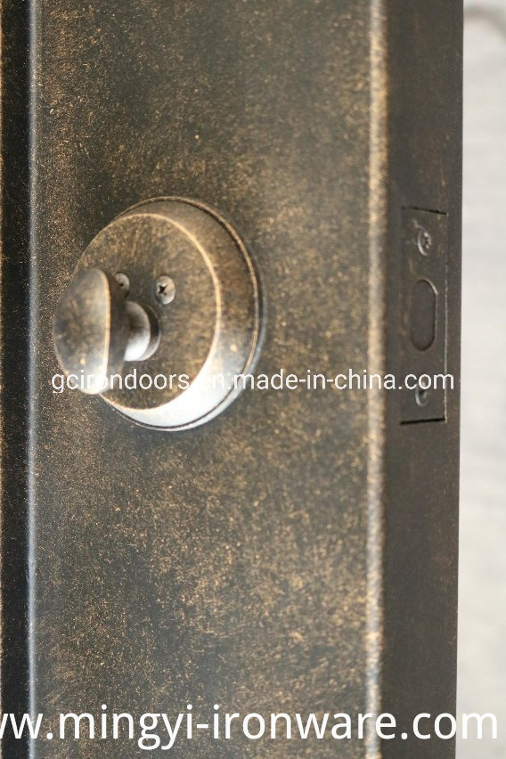 Luxury House Design Wrought Iron Security Door
